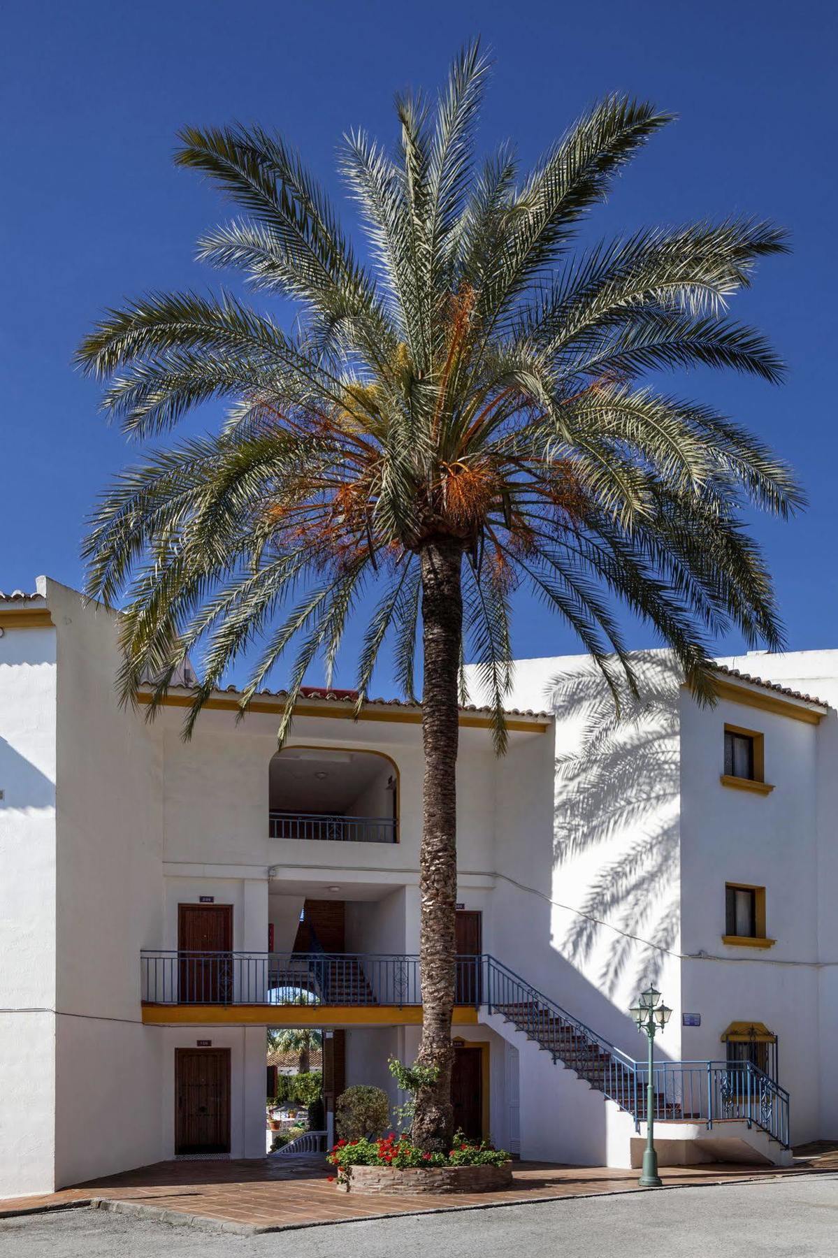 Crown Resorts Club La Riviera La Cala De Mijas Zewnętrze zdjęcie